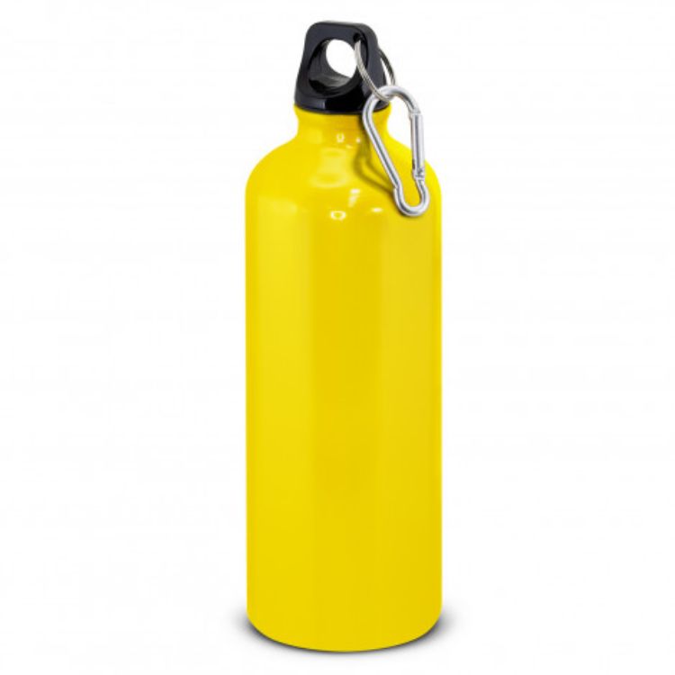 Picture of Intrepid Bottle - 800ml