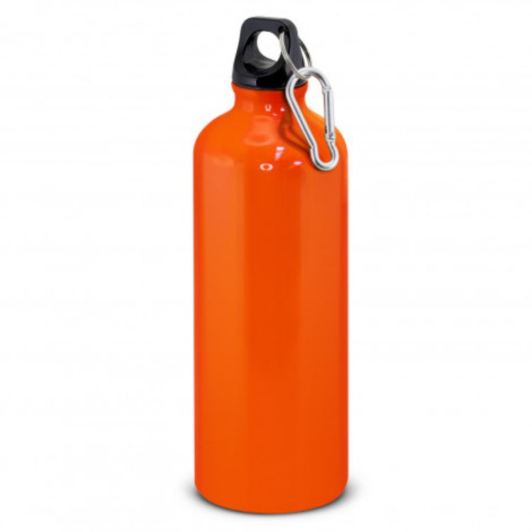 Picture of Intrepid Bottle - 800ml