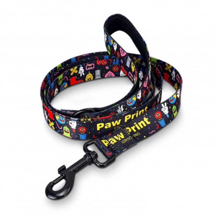 Picture of Amigo Dog Leash