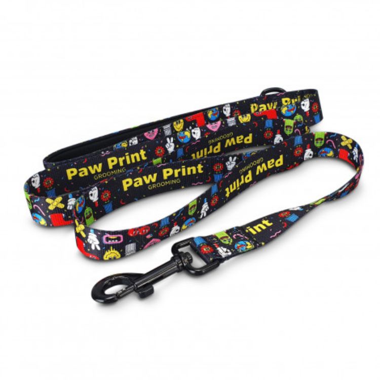 Picture of Amigo Dog Leash