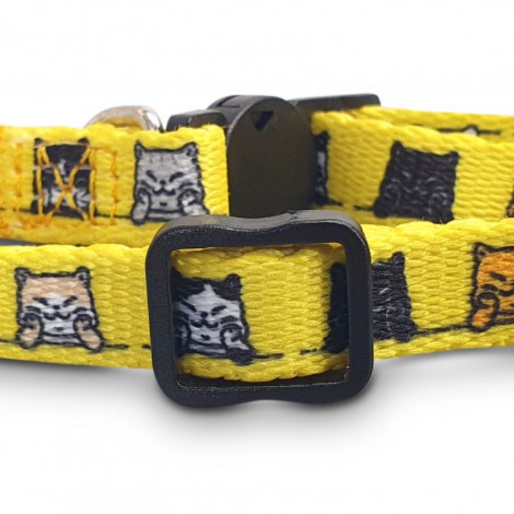 Picture of Amigo Cat Collar