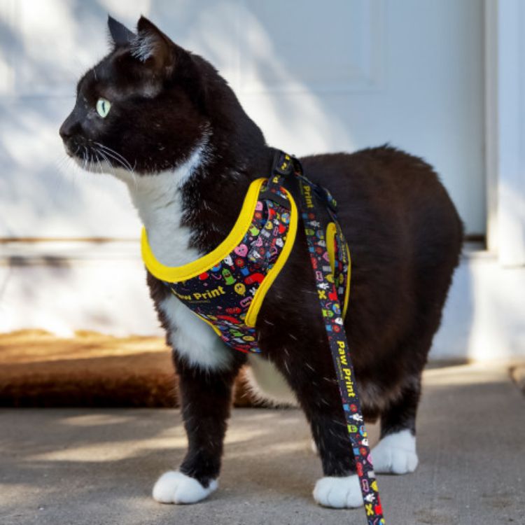 Picture of Amigo Pet Harness