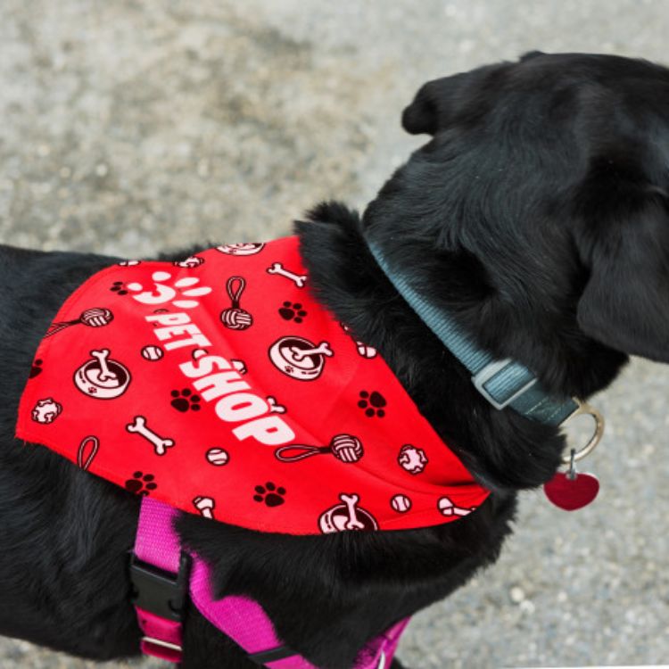 Picture of Pet Bandana - Large