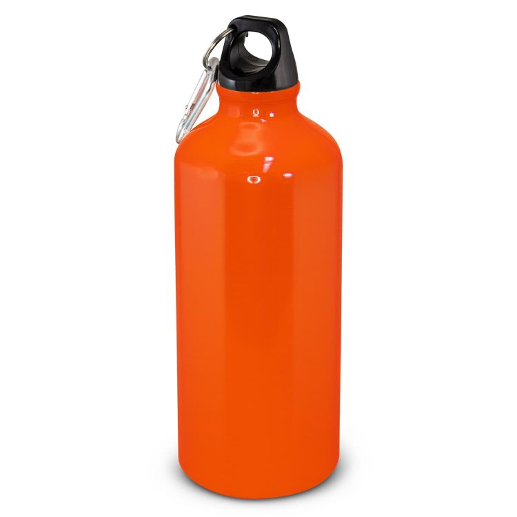 Picture of Intrepid Bottle - 600ml