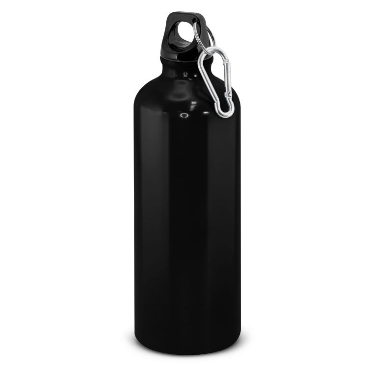 Picture of Intrepid Bottle - 800ml